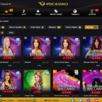 Vdcasino giriş adresi